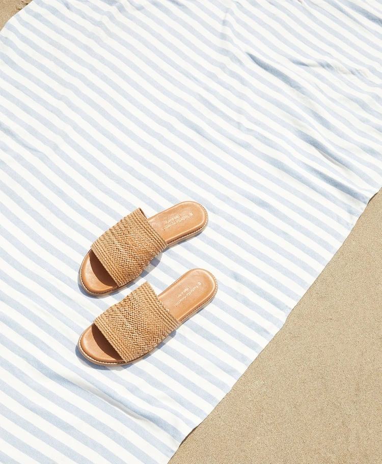 Cholla Slide 3 Cholla Slide