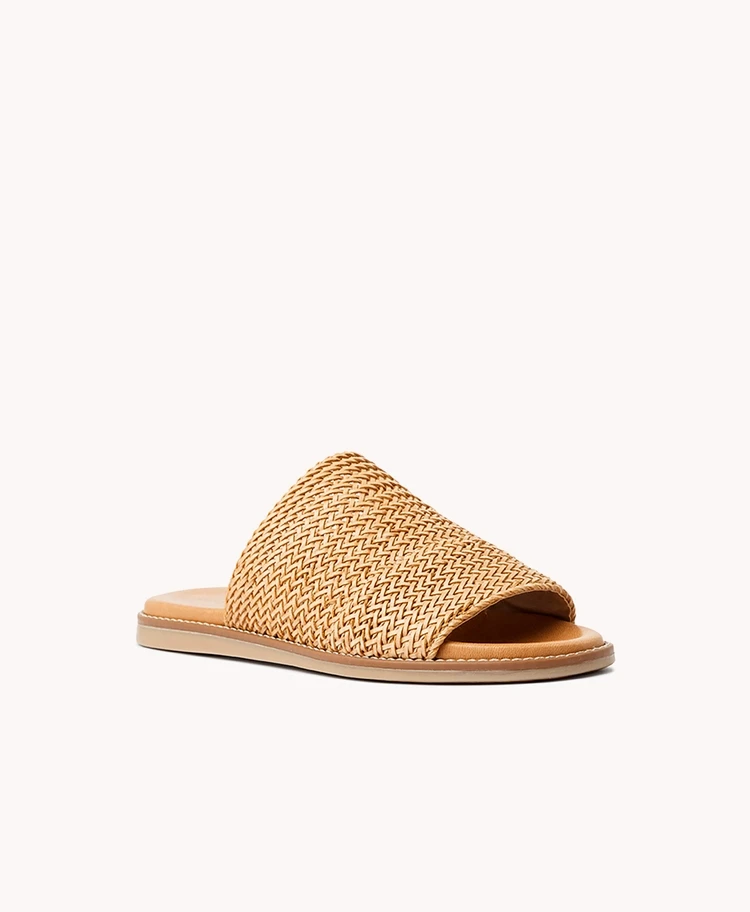 Cholla Slide 4 Cholla Slide - Image 2