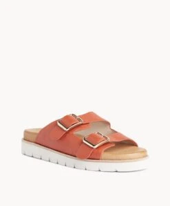 Savvy Platform Slide