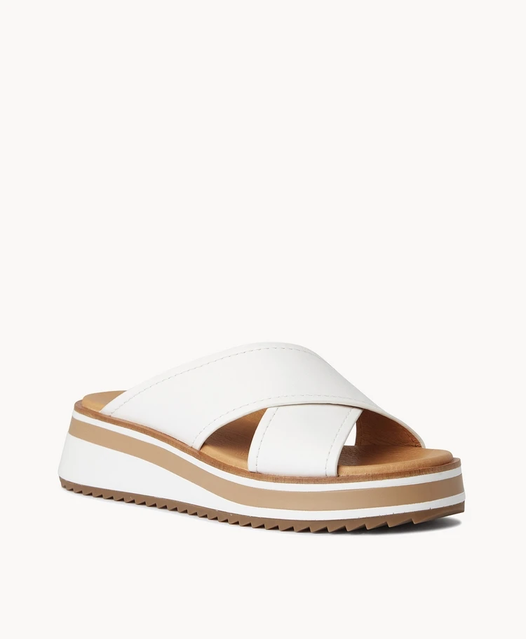 Spotty Slide 3 Spotty Slide